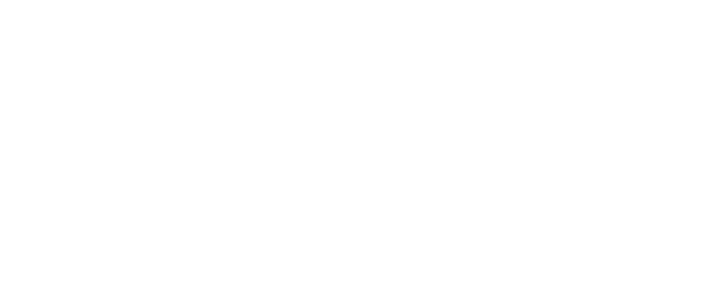 MFF Consulting